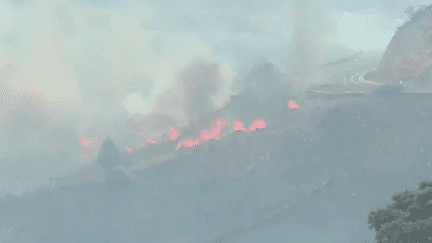 Dans les Pyrénées-Orientales, les pompiers ont du mal à maîtriser l’incendie qui s’est déclaré dans la matinée du dimanche 16 avril près de Cerbère. Plus de 700 hectares ont déjà été détruits. (France 3)