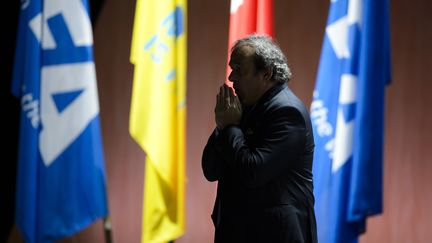 Michel Platini (FABRICE COFFRINI / AFP)