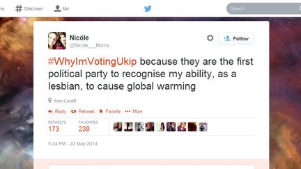 Capture d'&eacute;cran d'un compte Twitter moquant le hashtag #PourquoiJeVoteUkip, r&eacute;alis&eacute;e le 22 mai 2014. (NICOLE MORRIS / TWITTER)