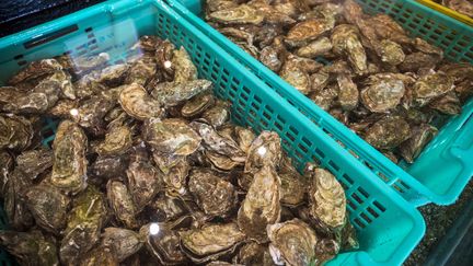 Des huitres exposées dans un restaurant de Gironde, le 6 décembre 2022. (CAVALIER MICHEL / HEMIS.FR / AFP)