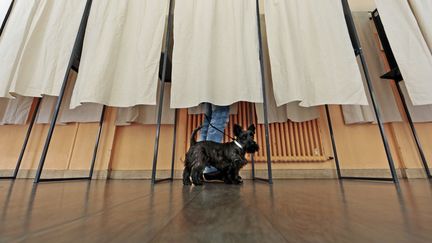 Un chien patiente pendant que son propri&eacute;taire vote &agrave; Nice (Alpes-maritimes), le 30 mars 2014. ( ERIC GAILLARD / REUTERS)