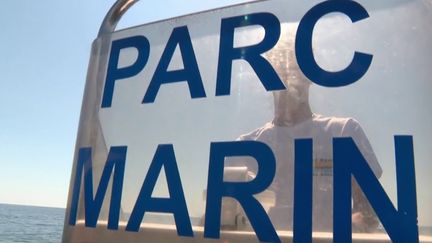 Bouches-du-Rhône : le Parc Marin de la Côte Bleue, un écrin dédié à la biodiversité