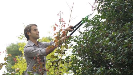  (Si les branches d'un arbre de votre jardin empiète sur le terrain de votre voisin, vous avez l'obligation d'élaguer © MaxPPP)