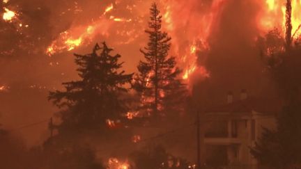 Grèce : l’île d’Eubée touchées par plusieurs incendies