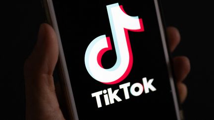 Les vidéos des "désinfluenceurs" sur TikTok attirent de nombreux abonnés. (MONIKA SKOLIMOWSKA / DPA via AFP)