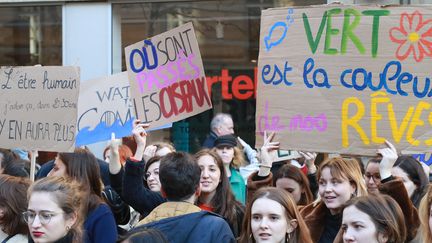 Marche de la jeunesse pour le climat à Paris, le 15 février 2019. (JACQUES DEMARTHON / AFP)