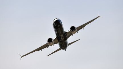 Un Boeing 737 Max vole au-dessus du Bourget, près de Paris, le 21 juin 2017. (MUSTAFA YALCIN / ANADOLU AGENCY / AFP)