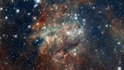 La n&eacute;buleuse NGC 2060 est situ&eacute;e &agrave; une distance d'environ 170 000 ann&eacute;es-lumi&egrave;re, dans la constellation de la Dorade dans le ciel austral. Cette&nbsp;photo a &eacute;t&eacute; prise le 17 avril 2012. (NASA NASA / REUTERS)