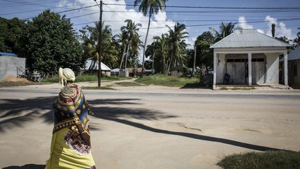 La ville de Palma au Mozambique, le 16 février 2017. Photo d'illustration.
 (JOHN WESSELS / AFP)