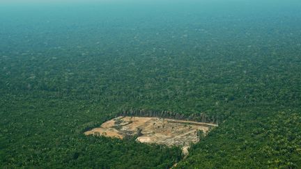 Une vue aérienne de la déforestation dans l'ouest de l'Amazonie brésilienne, le 22 septembre 2017.&nbsp; (CARL DE SOUZA / AFP)