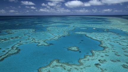 La Grande Barrière de corail en Australie, le 7 janvier 2015. (THIERRY GRUN / ONLY WORLD / AFP)