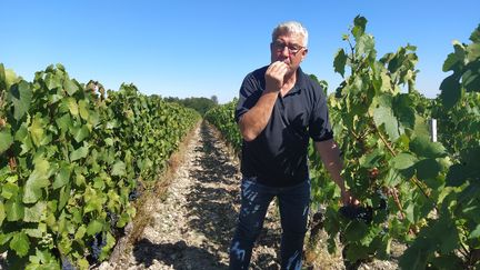 Le viticulteur Jean-François Roy dans ses vignes à Lye dans l'Indre, le 4 septembre 2020. (ANTOINE JEUFFIN / RADIO FRANCE)