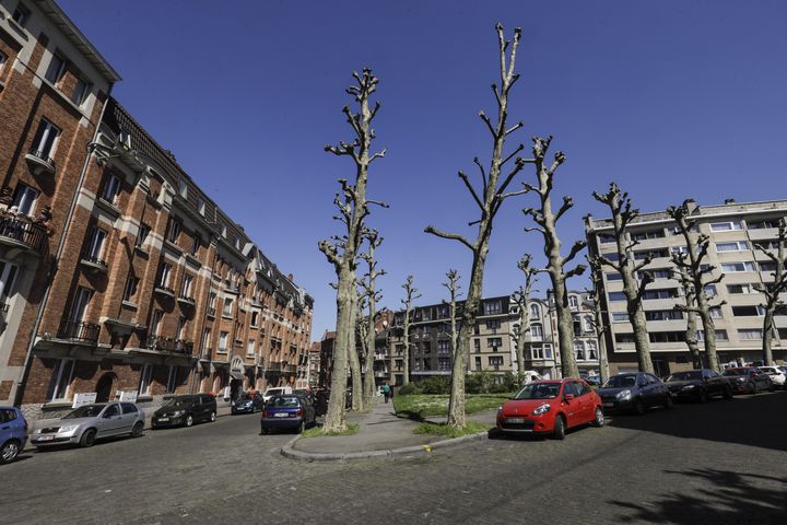 Le square de la rue Jacques Rayé, le 8 mai 2018 à Schaerbeek (Belgique). (THIERRY ROGE / BELGA MAG)