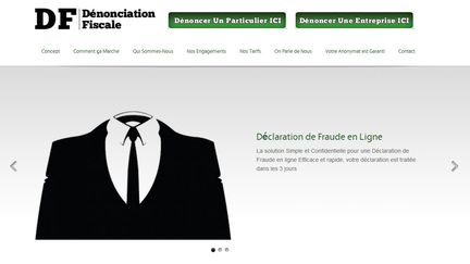 Capture d'&eacute;cran du site D&eacute;nonciation fiscale.com cr&eacute;&eacute; par un &eacute;tudiant ni&ccedil;ois de 23 ans.&nbsp; (FTVI )