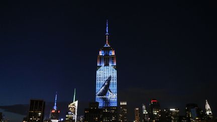 Des images d'esp&egrave;ces d'animaux en danger ont &eacute;t&eacute; projet&eacute;es sur la fa&ccedil;ade de l'Empire State Building, &agrave; New York, le 1er ao&ucirc;t 2015. (KENA BETANCUR / AFP)