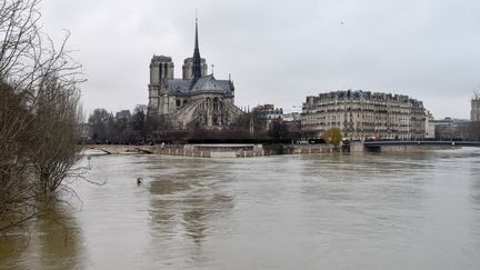 Vue de Paris, près de&nbsp;Notre-Dame,&nbsp;réalisée le 28 janvier 2018.&nbsp; (CHEN YICHEN / XINHUA / REUTERS)