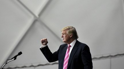 Donald Trump en campagne en Pennsylvanie, le 1er&nbsp;octobre. (MANDEL NGAN / AFP)