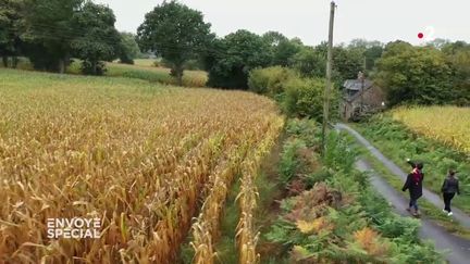 Envoyé spécial. Pesticides : depuis que les champs près de sa maison sont traités, Catherine a développé plusieurs tumeurs (ENVOYÉ SPÉCIAL  / FRANCE 2)