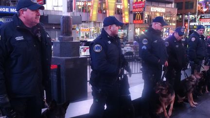 Les chiens policiers ont aussi assisté au concert du 5 janvier sur la place de Times Square à New York 
 (SHAUN TANDON / AFP)