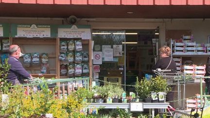 Jardineries : certaines enseignes ont pu rouvrir pour limiter les pertes