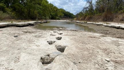 Des traces de dinosaures au Texas, le 23 août 2022. (HANDOUT / DINOSAUR VALLEY STATE PARK / AFP)