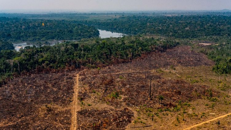 Brésil La Déforestation En Amazonie A Augmenté De 93 Entre Janvier Et Septembre