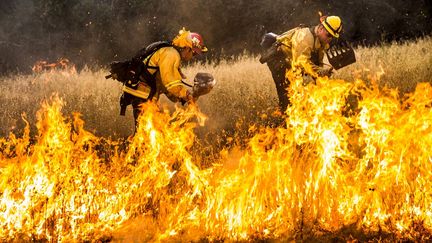 Des pompiers dans le comt&eacute; de Lake (Californie, Etats-Unis), le 30 juillet 2015. (? MAX WHITTAKER / REUTERS / X02214)