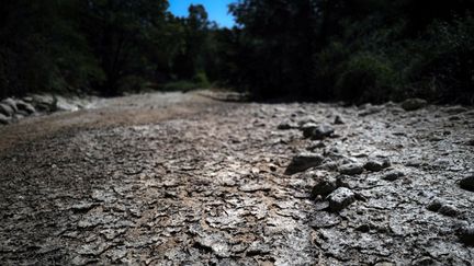 La rivière de Salindres asséchée, dans le Rhône, le 17 juin 2022. (OLIVIER CHASSIGNOLE / AFP)