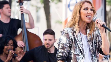 Céline Dion à New York en juillet 2016
 (Charles Sykes/AP/SIPA)