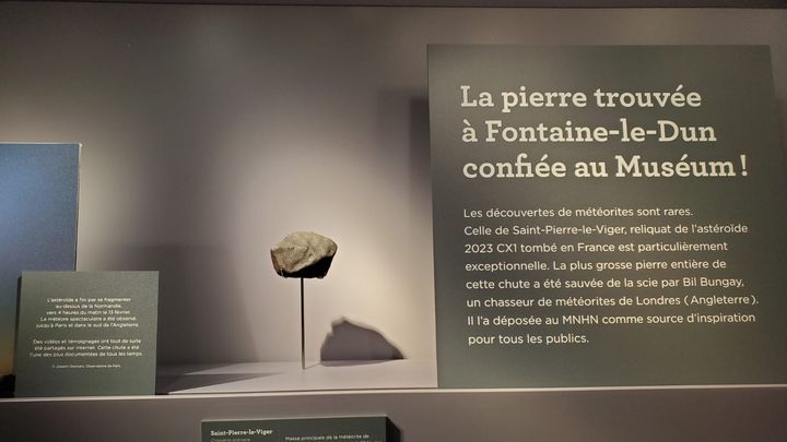 A partir du 1er juin 2023, le Muséum national d’Histoire naturelle inaugure une nouvelle vitrine où seront présentés les échantillons des météorites tombées en Normandie en février dernier. (BRIGITTE ZANDA / MNHN)