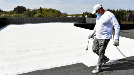 Un peintre de l'entreprise Cool Roof repeint en blanc le toit du laboratoire MGD-Nature, à Brandérion (Morbihan), le 25 mai 2021. (PHOTOPQR/LE TELEGRAMME/MAXPPP)