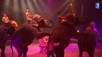 Le cirque Arlette Gruss fête ses 25 ans
 (Culturebox)