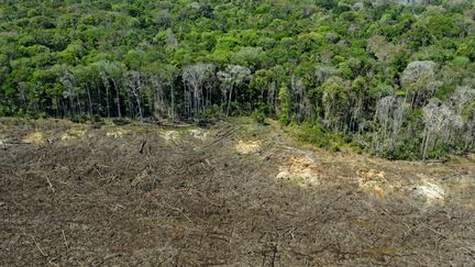 Photo aérienne d'une zone déboisée près de Sinop, État du Mato Grosso (Brésil). (AFP)