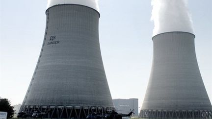 Vue des tours de refroidissement du site de la centrale nucléaire de Belleville-sur-Loire (2007). (AFP - Alain Jocard)