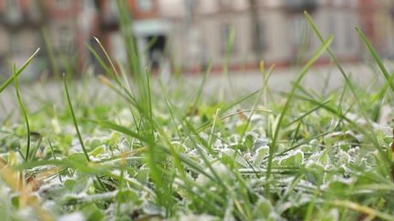 À Strasbourg (Bas-Rhin), les températures ne cessent de baisser. Pour lutter contre le froid glacial, les Strasbourgeois enfilent leurs doudounes, écharpes et bonnets.