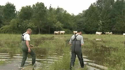 Inondations : et maintenant la Normandie