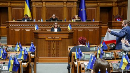 La senatrice polacca Malgorzata Kidawa-Plonska si rivolge al parlamento ucraino a Kiev (Ucraina), il 24 maggio 2024. (SERGII KHARCHENKO / NURPHOTO / AFP)