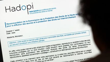 Première condamnation pour infraction à la loi Hadopi
 (Thomas Coex / AFP)