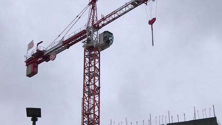 Handicap : grimpée en haut d’une grue, une mère réclame une prise en charge sérieuse pour ses enfants (Capture d'écran franceinfo)