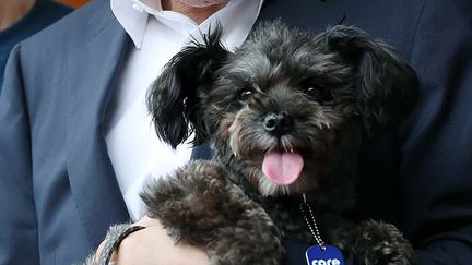 Tory, le chien&nbsp;rescapé d'élevages clandestins que le président sud-coréen&nbsp;Moon Jae-in a adopté&nbsp;en juillet 2017. (HANDOUT / THE BLUE HOUSE / AFP)