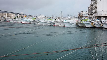 &nbsp; (Le port de Tomari à Naha, au sud de l'île d'Okinawa, attend le typhon  © REUTERS / Kyodo)