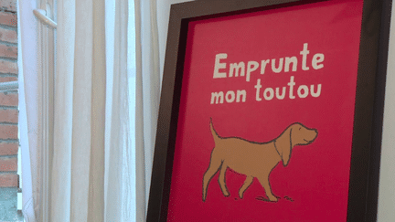 Animaux : une application pour “emprunter des toutous” (France 3)