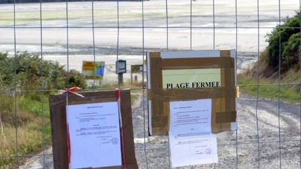 La plage de Morieux, près de Saint-Brieuc, interdite au public en raison de la présence d'algues vertes (24/07/2011). (AFP PHOTO DAMIEN MEYER)