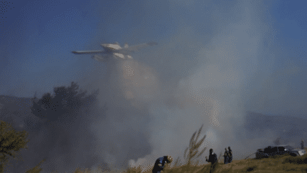 Incendies en Grèce : pompiers et habitants luttent contre le feu