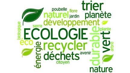 &nbsp; (Environnement et développement durable  © Frédéric Massard / Fotolia)