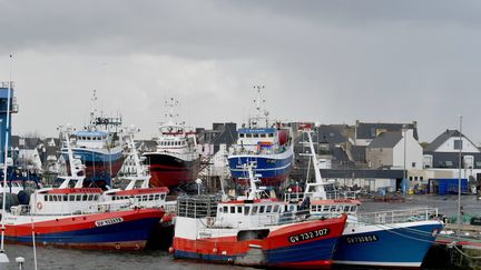 Des navires de pêche amarrés dans le port du Guilvinec, le 17 janvier 2023, dans le Finistère. (VINCENT MOUCHEL / OUEST FRANCE / MAXPPP)