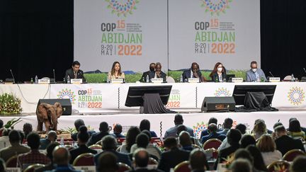 Une cérémonie vient clôturer la COP15&nbsp;de la Convention des Nations unies sur la lutte contre la désertification à Abidjan (Côte d'Ivoire), le 20 mai 2022. (SIA KAMBOU / AFP)