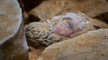 Une tête de statue appartenant au jubé médiéval de Notre-Dame de Paris, le 28 mars 2022. (DENIS GLIKSMAN, INRAP)