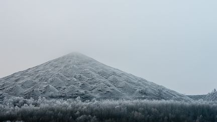 Un terril à Loos-en-Gohelle (Nord) le 1er janvier 2017. (MAXPPP)