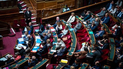 Des sénateurs au palais du Luxembourg, le 31 mai 2023 à Paris. (XOSE BOUZAS / HANS LUCAS / AFP)